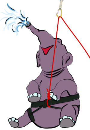 Rock climbing elephant