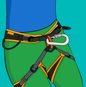 Clip a screwgate carabiner to your belay loop.