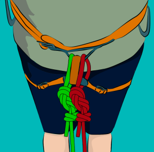 Two ropes tied into climbing harness