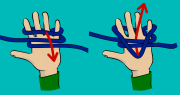 How to tie an alpine butterfly